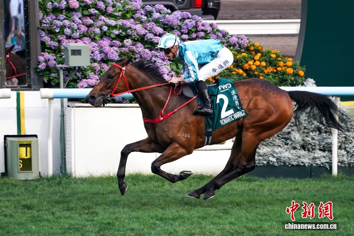 九游官网-香港赛驹“浪漫勇士”四夺“女皇杯”冠军|赛马|香港沙田马场|体育比赛|保险|比赛_新浪体育_新浪新闻
